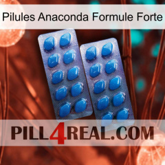 Anaconda Strong Formula Pills viagra2